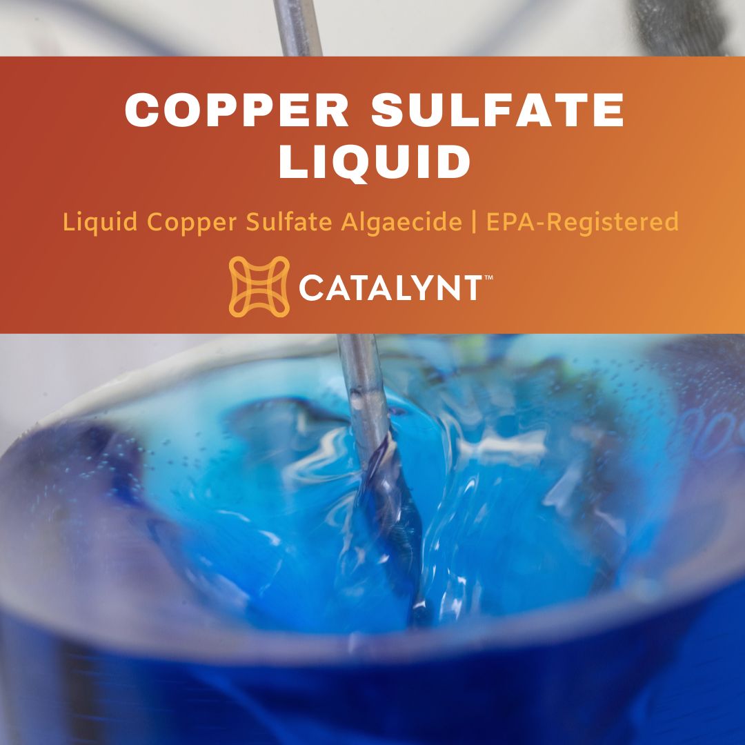 Liquid Copper Sulfate, Algaecide